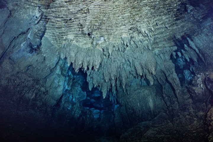 Chandelier Cave (Palau — 35-60 fsw)